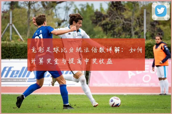 竞彩足球比分玩法倍数详解：如何计算奖金与提高中奖收益