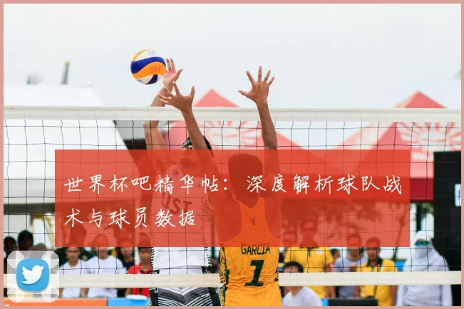 世界杯吧精华帖：深度解析球队战术与球员数据