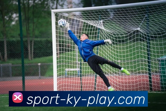 开云官方网站全球赛事实时推荐KAIYUNSPORTSAPP 封面图